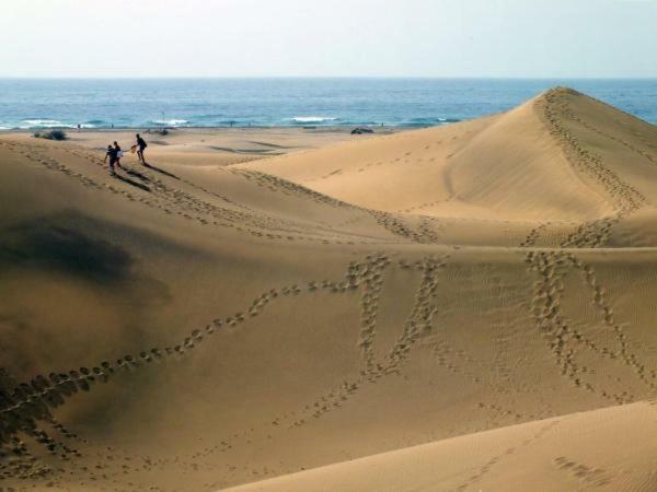 Vacacional Tegueste 2ºa مْبيسينداريو المظهر الخارجي الصورة